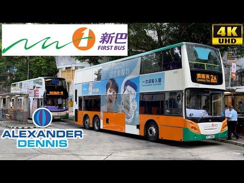 [NWFB: 2A Yiu Tung Estate to Causeway Bay via North Point] Alexander Dennis Enviro500 (5523/PT3487)