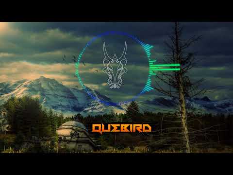 Quebird - Cocktail