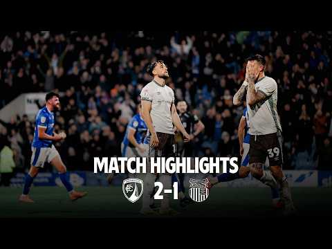 bg-highlight