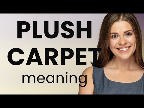 Exploring the Comfort of "Plush Carpet"