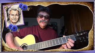 Le bleu des bleuets GEORGES BRASSENS cover guitare