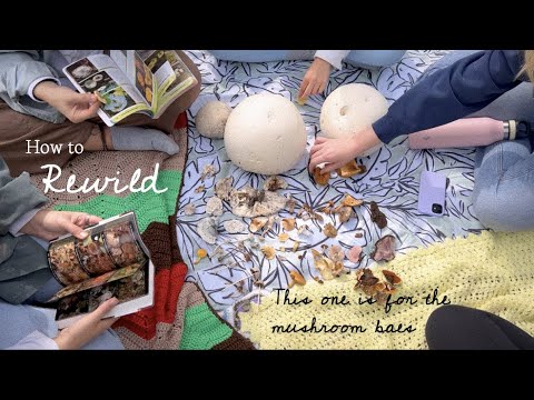 Relearning how to connect with nature | foraging mushrooms, giant puffballs, cooking wild food