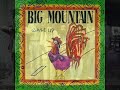 Big Mountain    Reggae Inna Summertime   1992