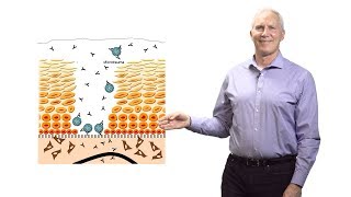 John Schiller (NCI at NIH) 2: Why Do HPV Virus-Like Particle Vaccines Work So Well?