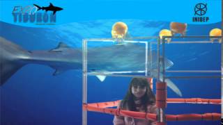 DIA 2 Expo Tiburon208