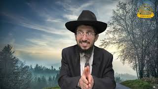 פרשה בדיוק | קריאת פרשת ויחי עם הארות קצרות לקריאה נכונה | הרב אמיר דאדוונד