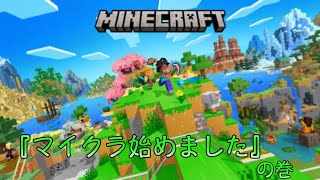 [初]Minecraft-マイクラ始めました-