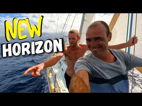 Spectacular Sailing | Crazed Dogs & Gale Force Winds  Ep 173