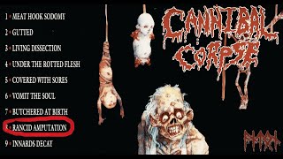 Cannibal Corpse - Rancid Amputation (guitar cover)