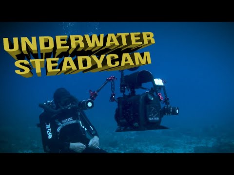 Tutorial: How to Stabilise Underwater Footage: Liquid Motion® Underwater Cinematography & Filmmaking