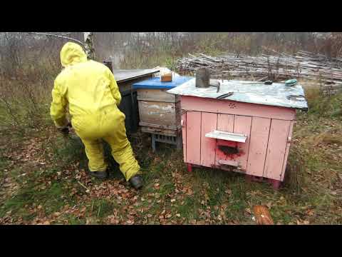 Пчеловодство.Как спасти пчёл от мышей.Заградительные летки своими руками.Зашита ульев.