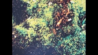 Richard Youngs & Tirath Singh Nirmala: Untitled LP - Track 2