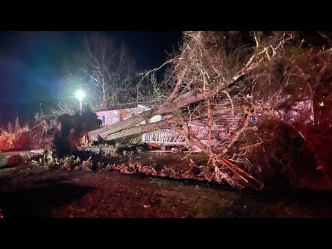 Suspected tornado causes damage in Wilcox County, Georgia