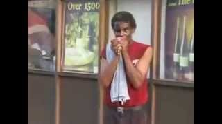 Harmonicist Charles Sayles - Dupont Circle North - 10 Aug 07