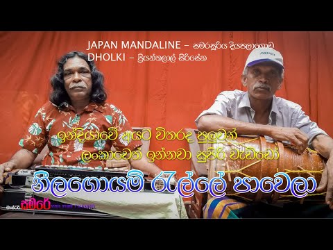 නීල ගොයම් රැල්ලේ පාවෙලා | Neela goyam relle pawela|japan mandaline and dholki song - master samare