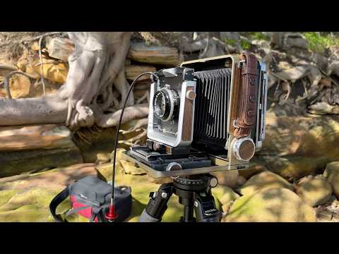 Rodinal & HC-110 – Inversion & Continuous Agitation – Four-Way Comparison on 4x5 – Shanghai GP3 100