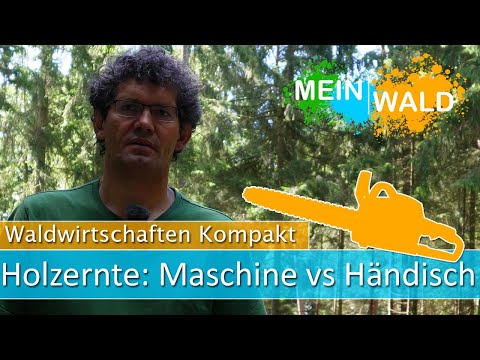 Was ist besser bei der Holzernte? 🪵 Maschine oder Händischer Einschlag