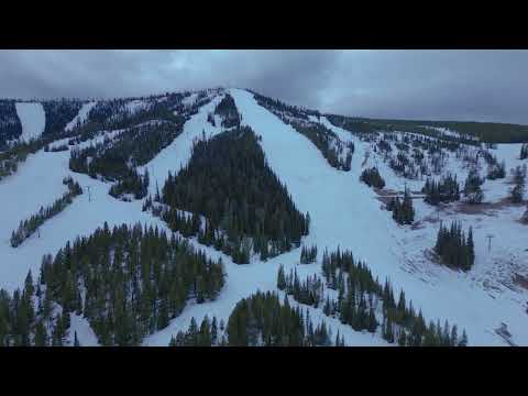 Brendan McDowell video