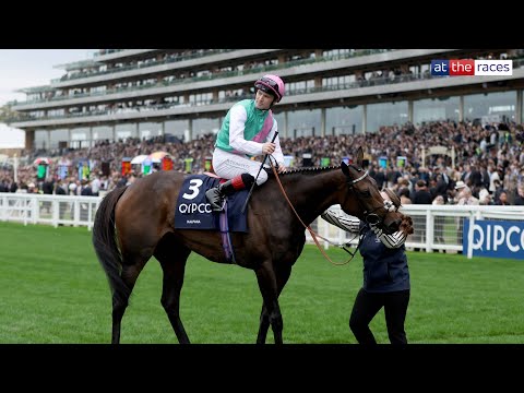 Classy! KALPANA shines in the Champion Fillies & Mares Stakes!