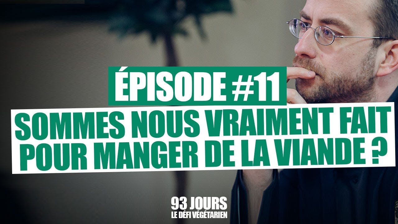 #11 - Sommes-nous vraiment fait pour manger de la viande? 🤔 / 93 Jours - Le Défi Végétarien