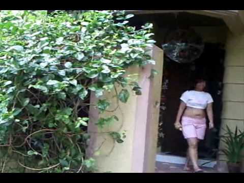 commercial- fit 'n fab (parody)