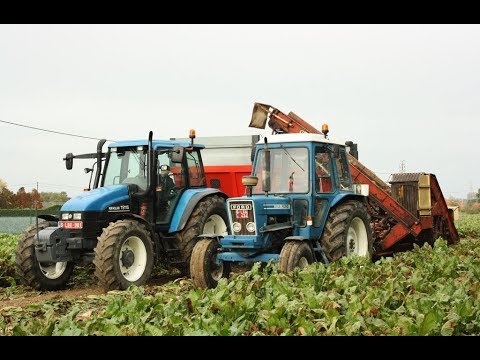 Landb. Debode - Lendelede - Ford 6600 - New Holland TS 115 - Gilles R-126