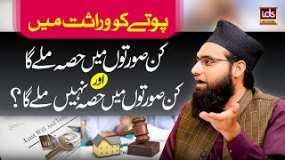 Pote Ko Wirasat Me Kin Sooraton Mein Hissa Milega Aur Kin Sooraton Me Nhi Milega? YouTube Image