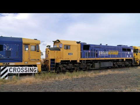 Pacific National 7737V Grain Train With X48 At Railway Level Crossing (6/1/2022) - PoathTV