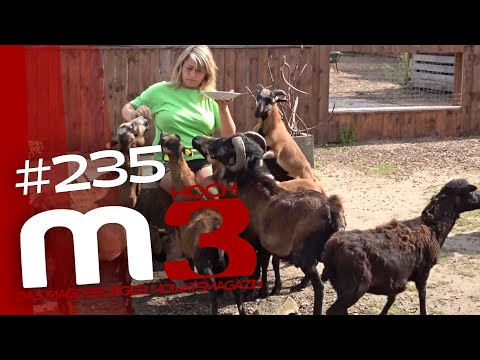 M hoch 3 - Magdeburger Monatsmagazin | Ausgabe Juni 2025