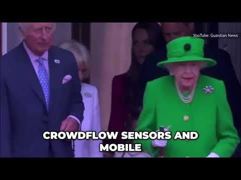 Royal Security: Diplomatic Minutia & Prestige Protection #shorts