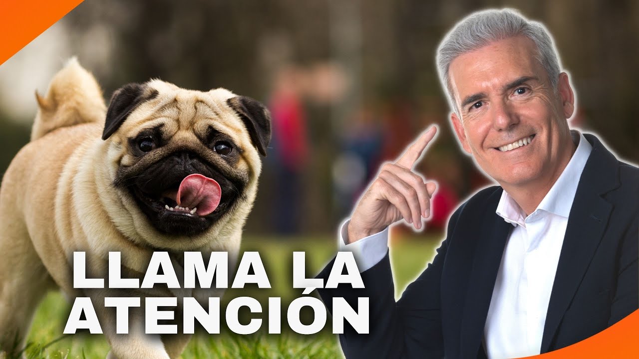 16. Frase para tener ATENCIÓN AL INSTANTE de tu Cliente - Episodio 20