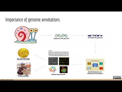 Applied Computational Genomics - Genome Annotation Concepts