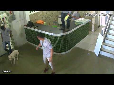Arbeiter laufen vor Hund weg