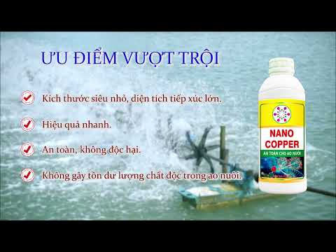 DIỆT NẤM ĐỒNG TIỀN, NHỚT BẠT TRONG AO NUÔI 