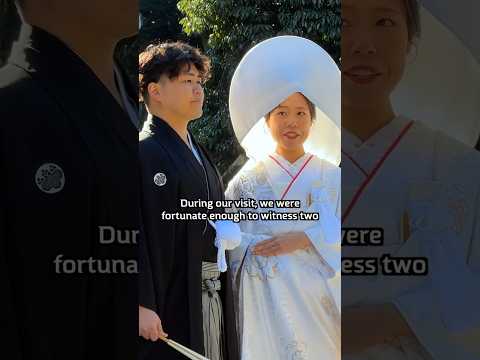 a Japanese Wedding at the Meiji Shrine in Tokyo 🇯🇵 #japan #japanese #tradition #interesting