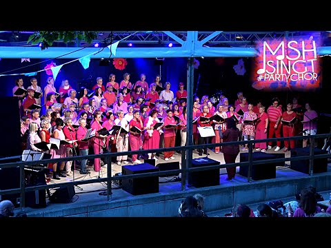 PUNKTum MSH Singt Partychor e.V. lud zum 2. Sommer-Open-Air ins Katharinenholz nach Kreisfeld