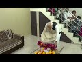 PM Modi Pays Respect To His Mother Heeraben Modi At Gandhinagar Residence