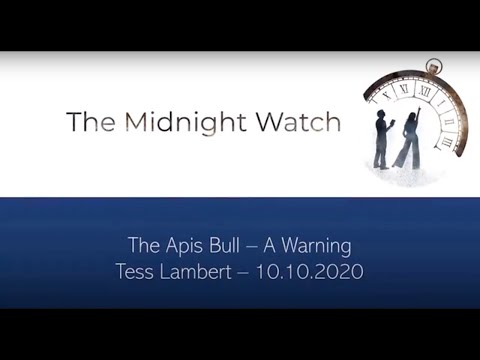 Sabbat France zoom 2020 - Tess Lambert - Le Taureau Apis - Un avertissement - 10/10/20