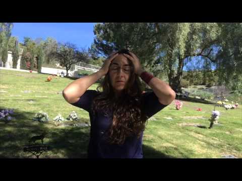 How to Sign Dandelion in Auslan