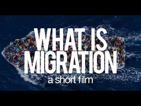 What is migration : A short film