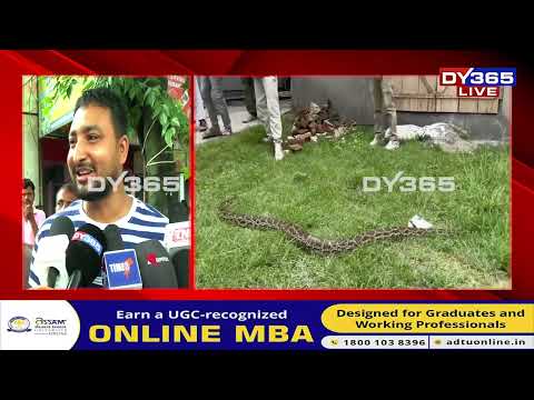 অজগৰক উদ্ধাৰ কৰি বিপাঙত এজন যুৱক