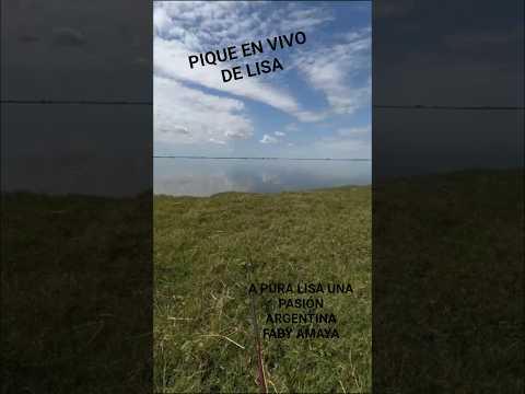 PIQUE EN VIVO DE LISA .1 DE FEBRERO LAGUNA LA BOCA  CASTELLI PROVINCIA DE BUENOS AIRES