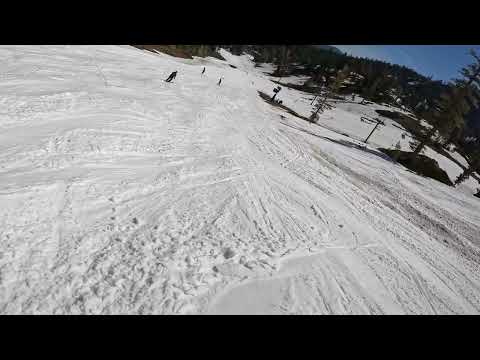 Wolferine  06 18 2023 Alpine Meadow Snowboarding