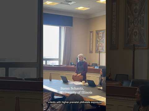 WATCH: Scientists warn toxic chemicals harm kids’ brains amid chemical safety law debate