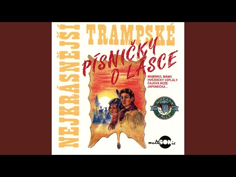 Hvězdičky Vzplály