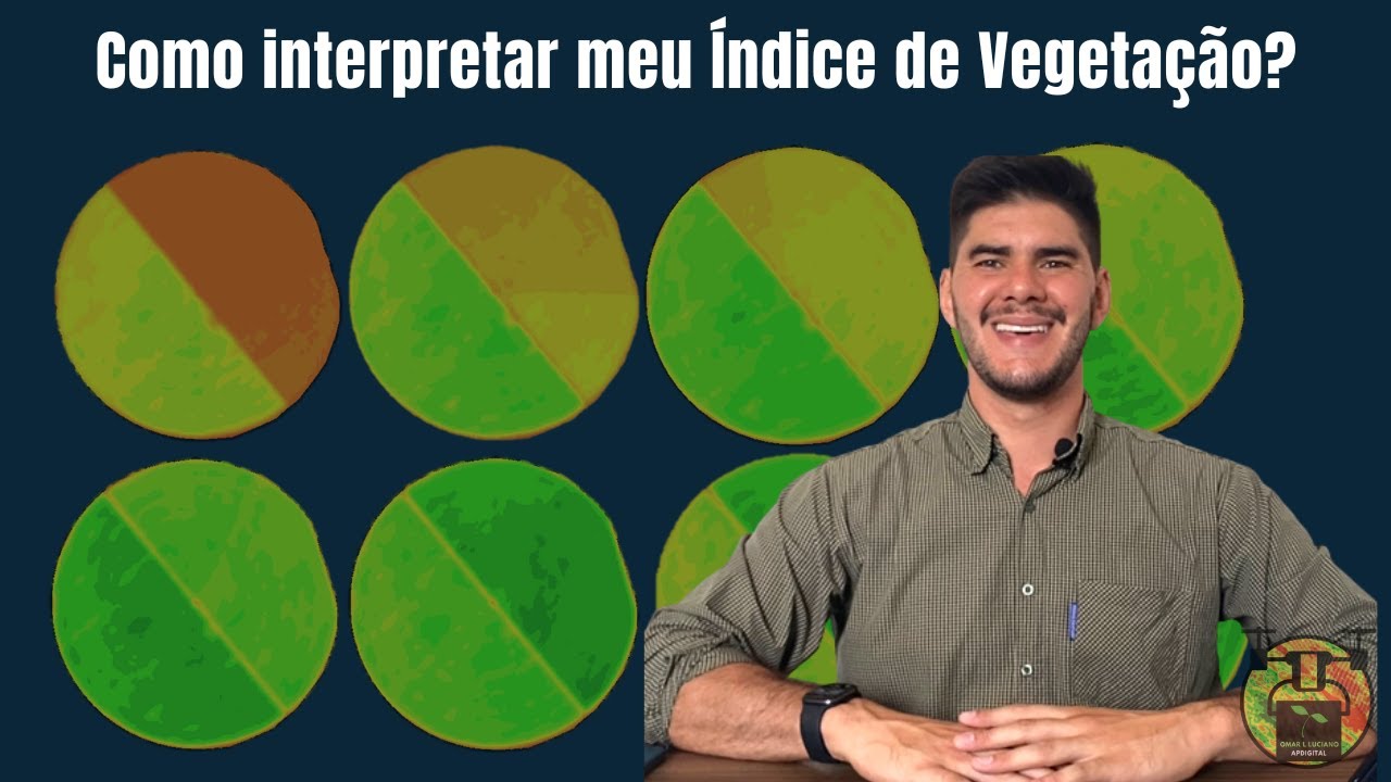 Como interpretar meu índice de vegetação?
