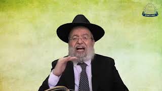 דף היומי בחצי שעה - סוכה  דף מ"ה