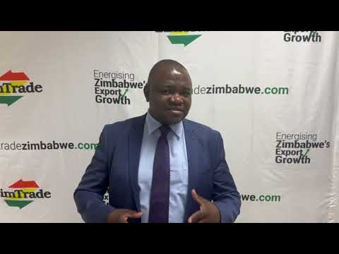 Zimbabwe businesses target Mozambican market