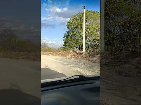 Sítio olho d'água Salgadinho Paraíba