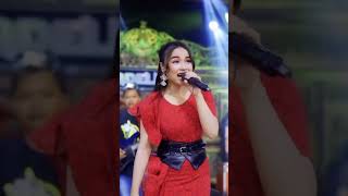 Download lagu TAMU MALAM MINGGU - TASYA ROSMALA - OM ADELLA mp3